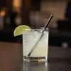 5.75" Cocktail Straw in a Margarita